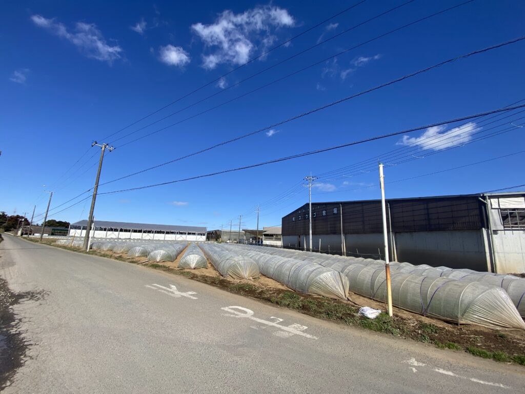 コウゴ牧場納車ゲート開き後半 家畜運搬車 柳沼ボデー工場 畜産 新車 製造