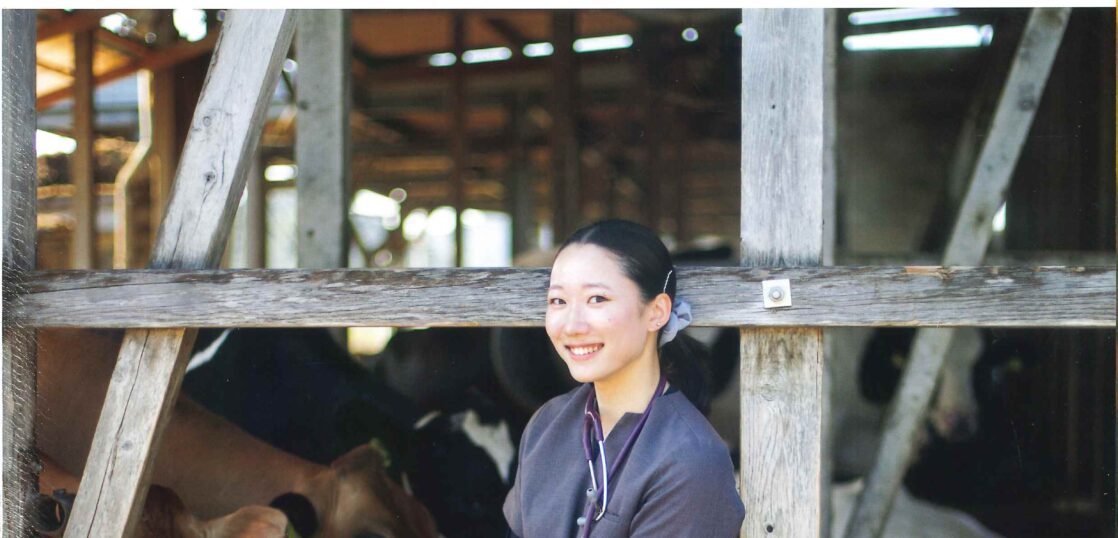 デイリーマン　DAIRYMAN　家畜運搬車　家畜　畜産　牛　豚